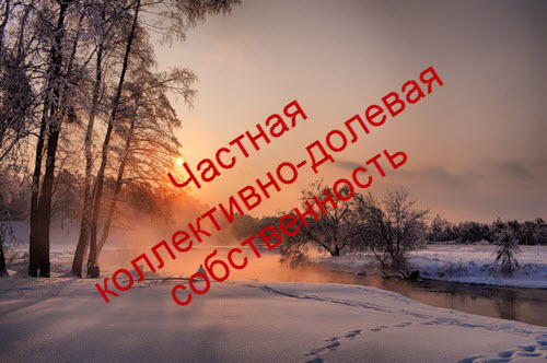 Частная,коллективно-долевая собственность.